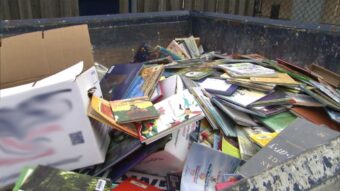 School Cleanup Dumpster Services-Longmont’s Premier Dumpster Rental Service Company