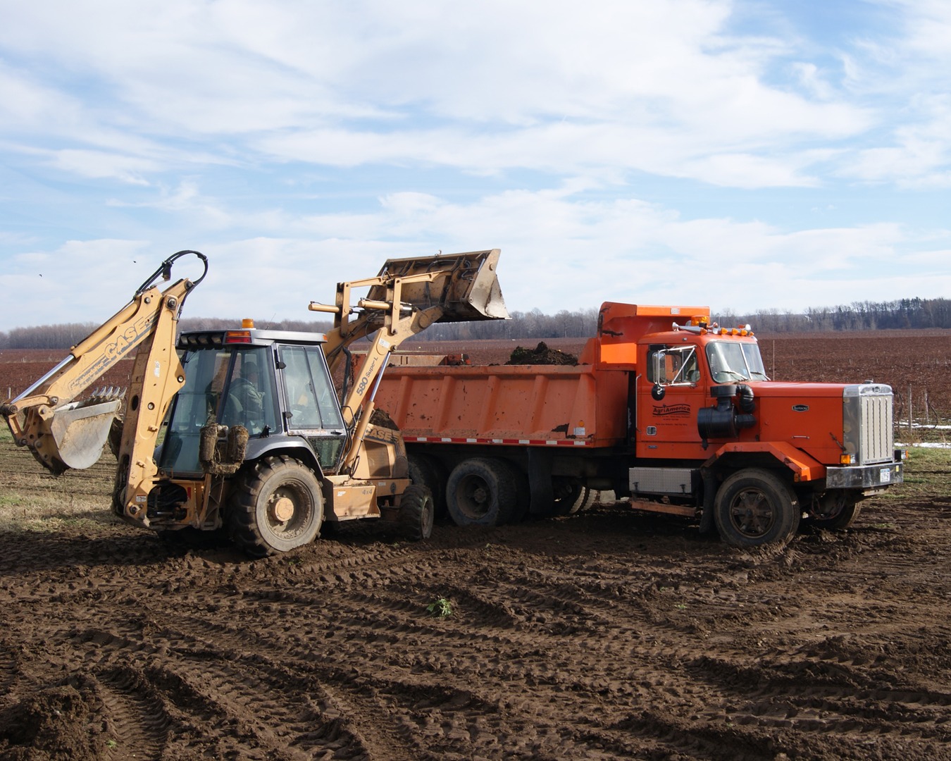 Site Clearing Dumpster Services-Longmont’s Premier Dumpster Rental Service Company