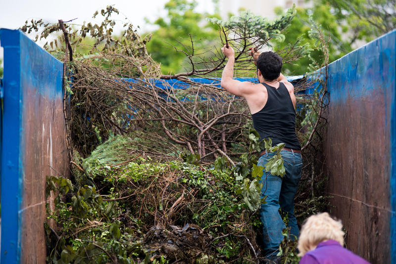 Tree Removal Dumpster Services-Longmont’s Premier Dumpster Rental Service Company